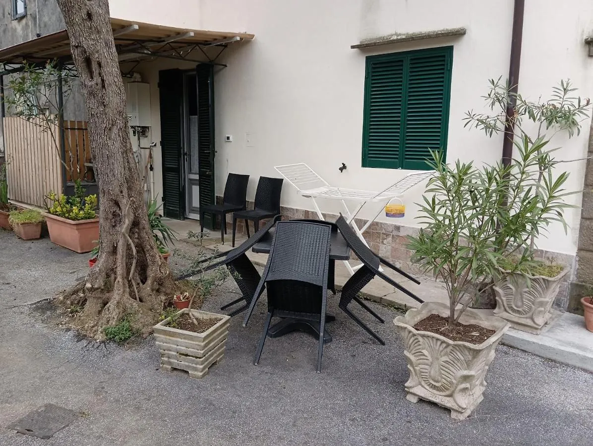 マッサローザ La Casina Fra Gli Oliviヴィラ イタリア